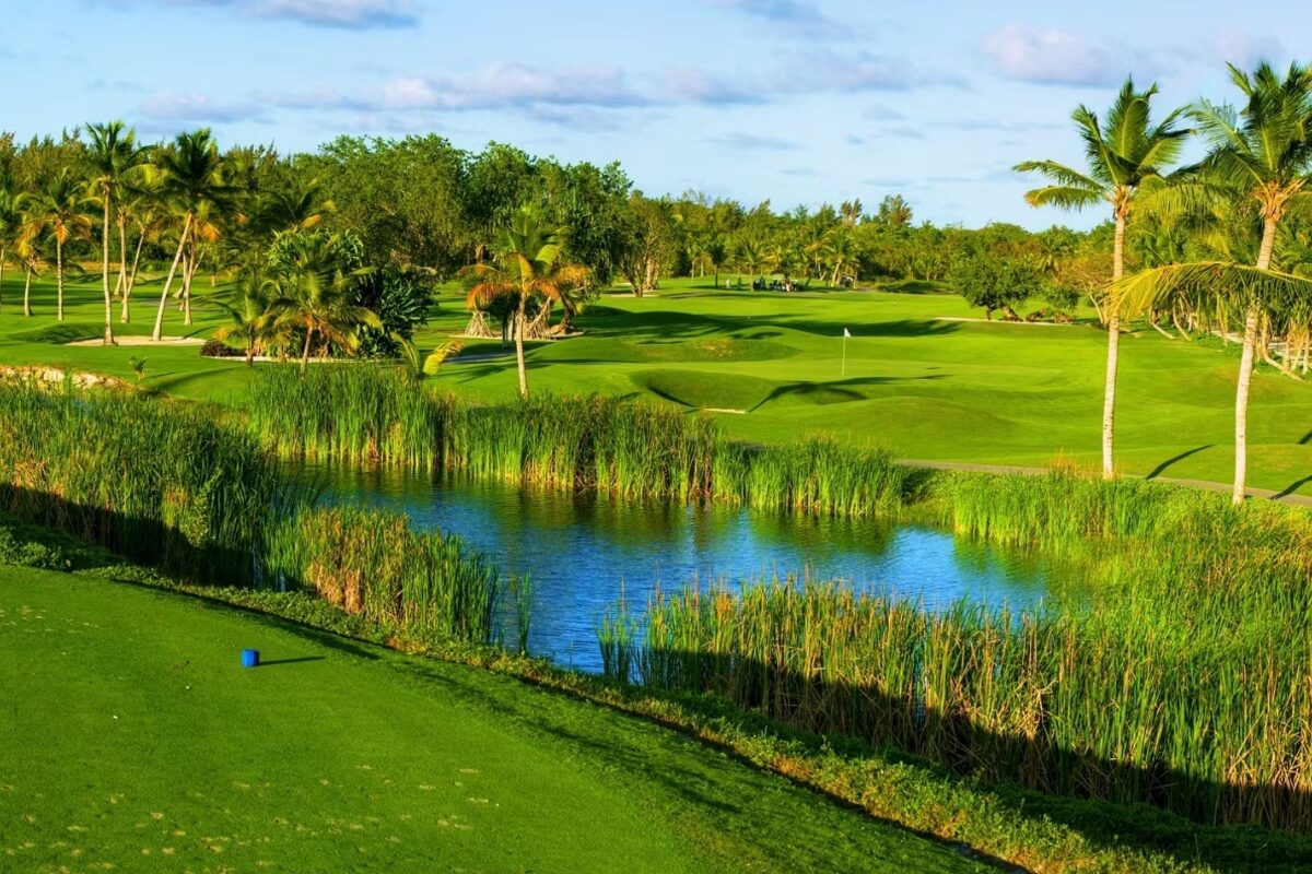 campo de golf en Barcelo Bavaro Palace