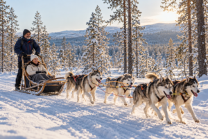 Aventura de huskies en la Laponia finlandesa-1