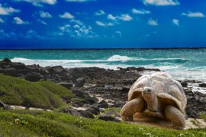 Galapagos - Ecuador